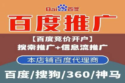 成功SEM托管案例解析